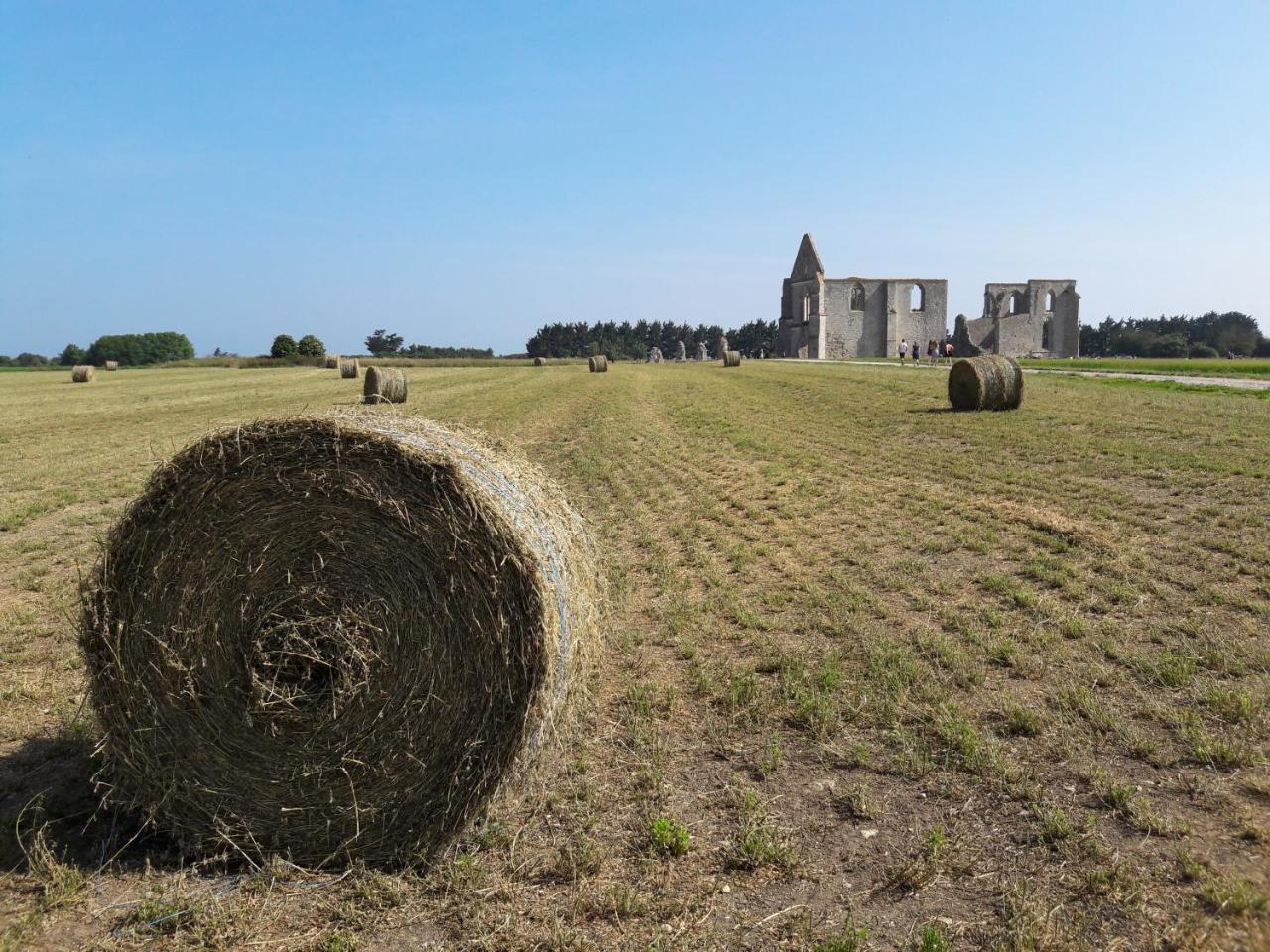 Chambre "Chevrefeuille" La Couarde-sur-Mer Exteriér fotografie